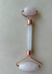 Roller Guaşa Taşı